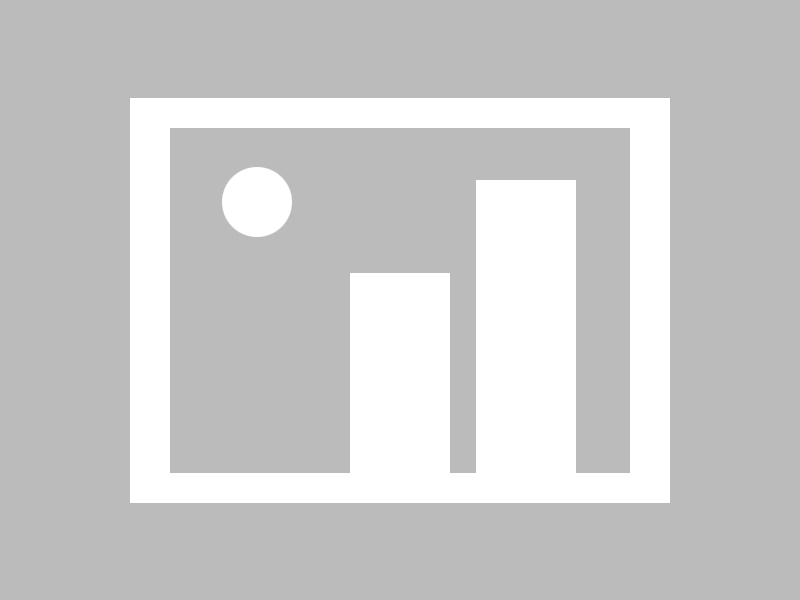 开云平台-沃尔夫斯堡阵痛调整，外援连环伤退成大问题，沃尔夫斯堡转会消息