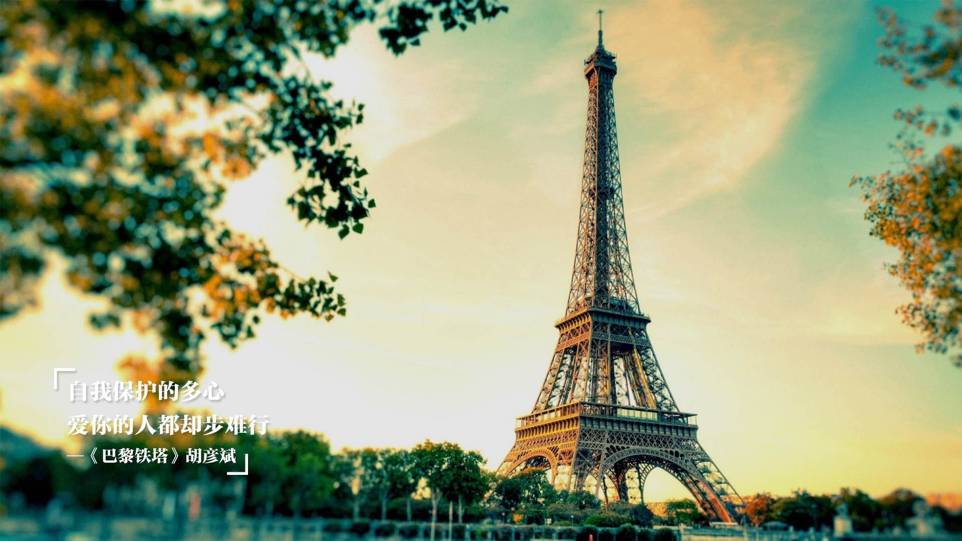 _猛兽运动会:传统民俗与运动的融合_,运动猛兽主题公园