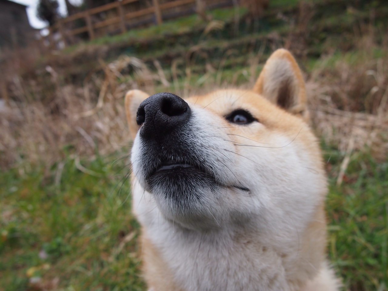 【新规则的影响】科技裁判带来的战术创新