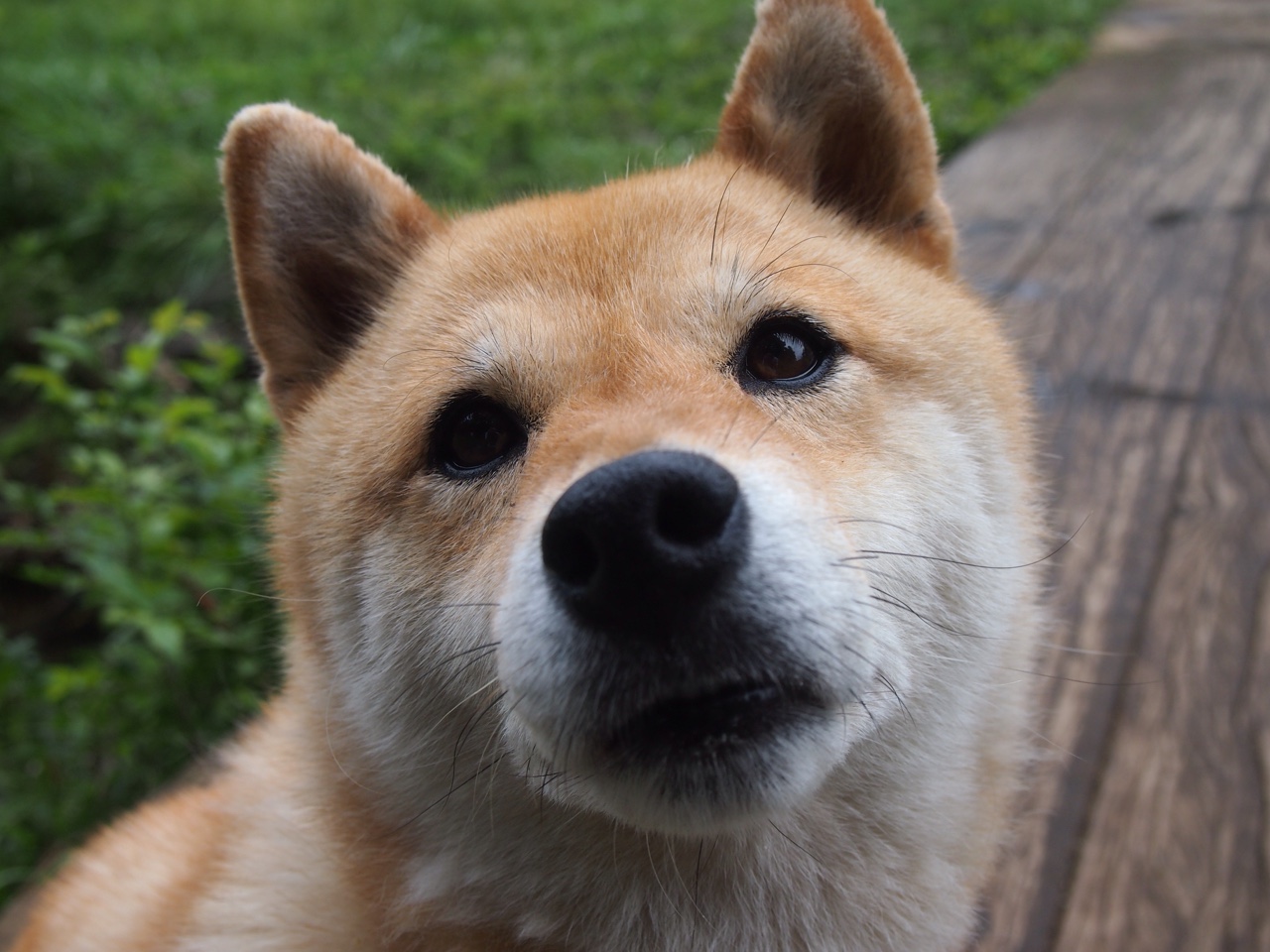 开云官网-互动体验：虚拟现实台球模拟器受到青睐，台球模拟器下载