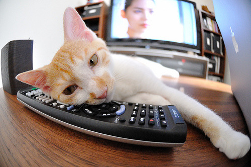 墨西哥男足在巴黎奥运会比赛中以1-0战胜法国,奥运会男足墨西哥队