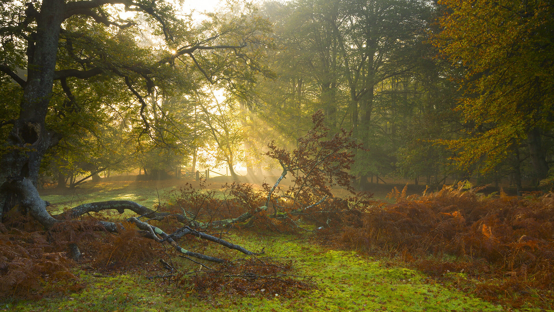 局中玄机:比赛中你不知道的战术秘密,中局战术是什么意思