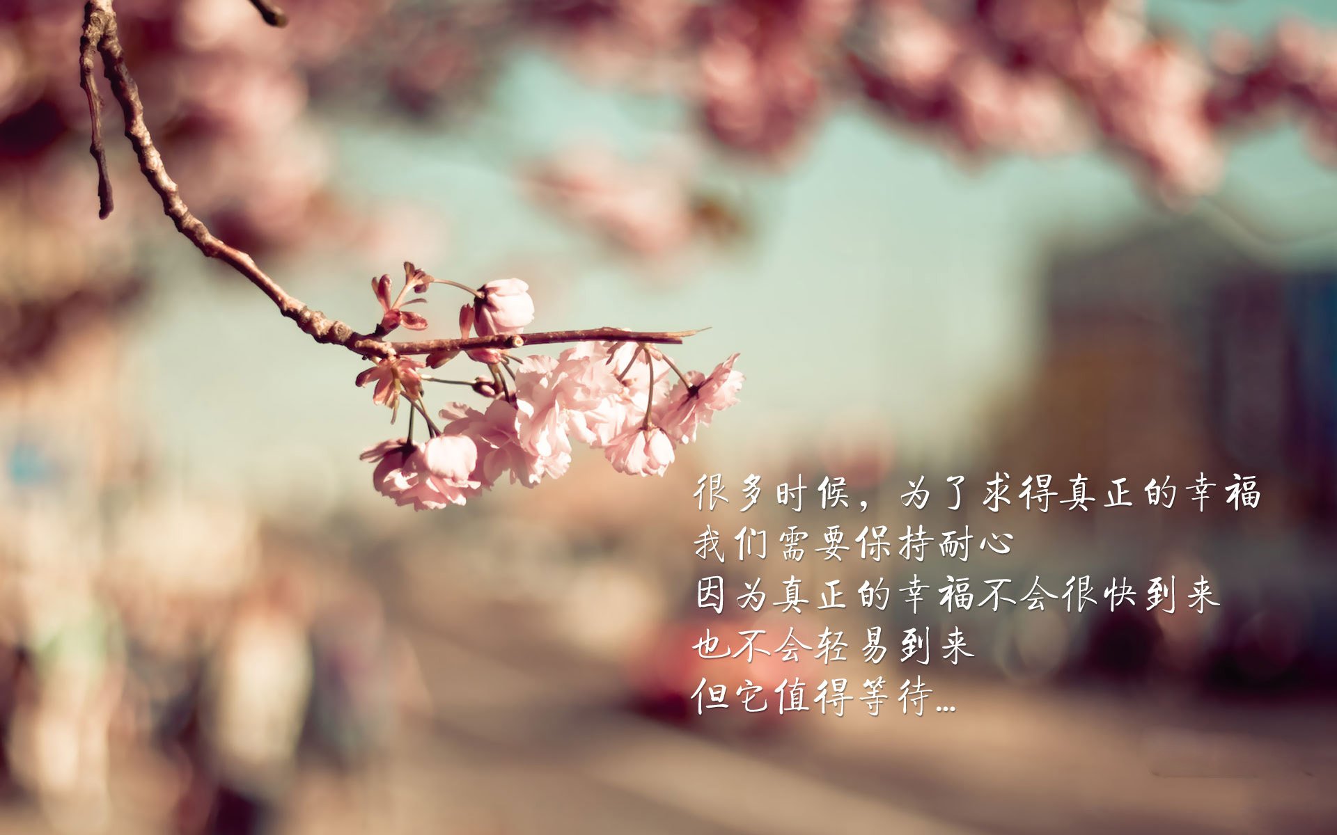 贯彻全民健身方针，篮球运动深入千家万户，为深入贯彻全民健身