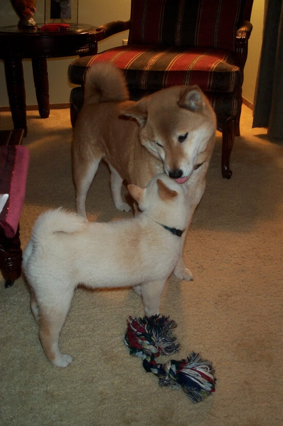 青少年“创造未来”青训创新大赛在湖北武汉胜利闭幕,掀起创新热潮