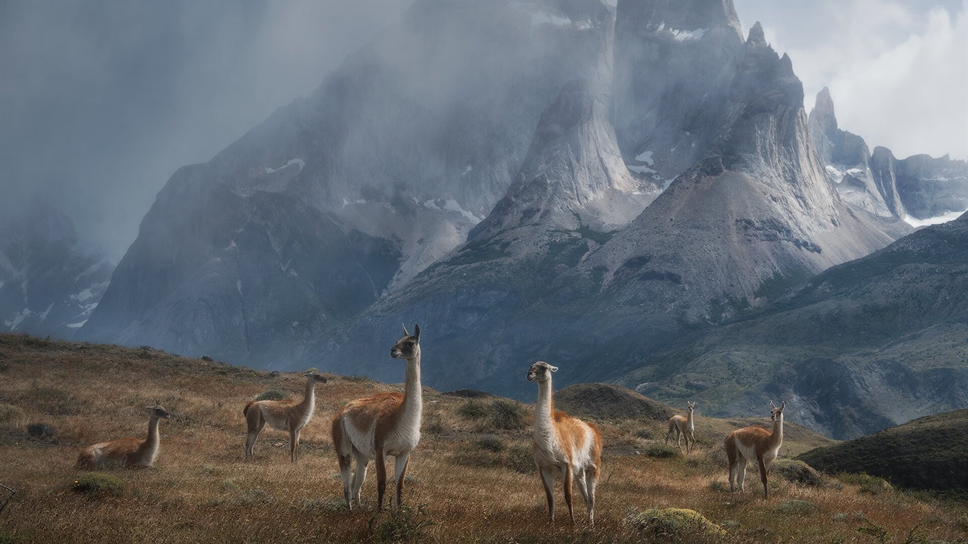 kaiyun开云·官方网站-高校校园足球赛事精彩纷呈，激发学生足球热情，大学生校园足球