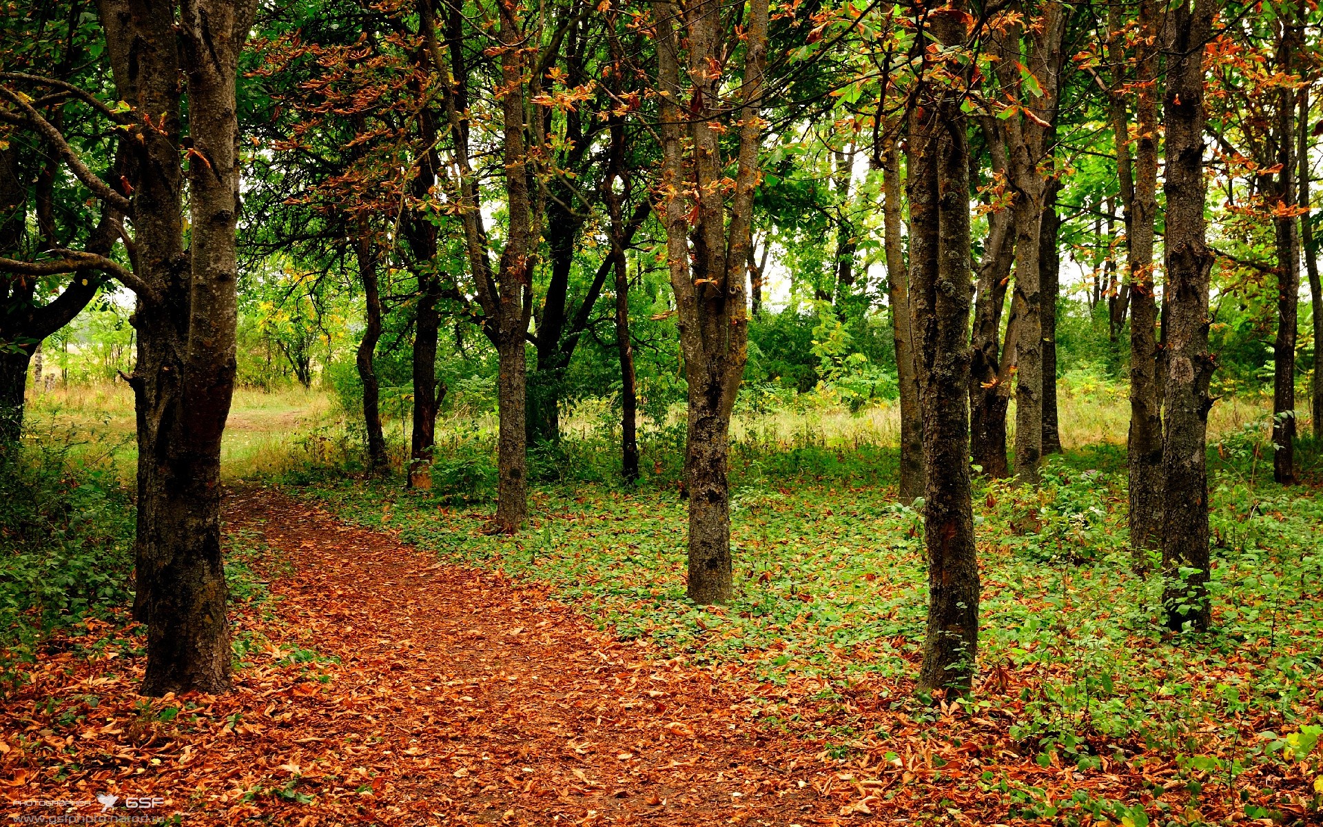 kaiyun官方网站-中超联赛的俱乐部运营策略分析实施，中超俱乐部所有者结构