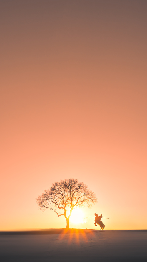 Kaiyun官方登录入口-中超联赛的俱乐部运营策略分析实施方案，中超俱乐部所有者结构