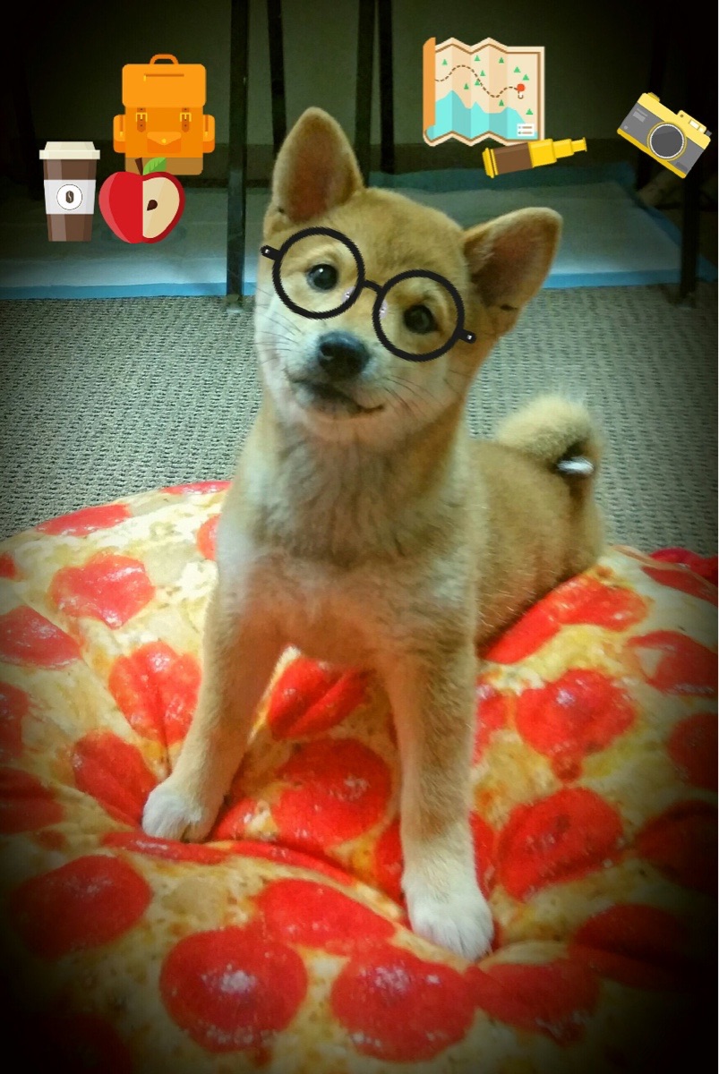 KAIYUN 中国大陆-冰雪绿茵场！墨西哥队自称“雪地猎鹰”