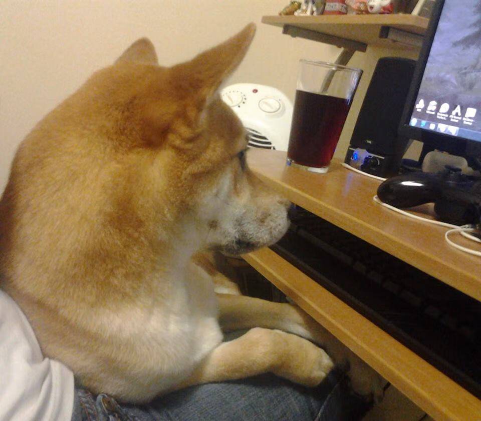 塞尔维亚队虽有激情但不敌意大利：战绩止步四强，塞尔维亚队大名单