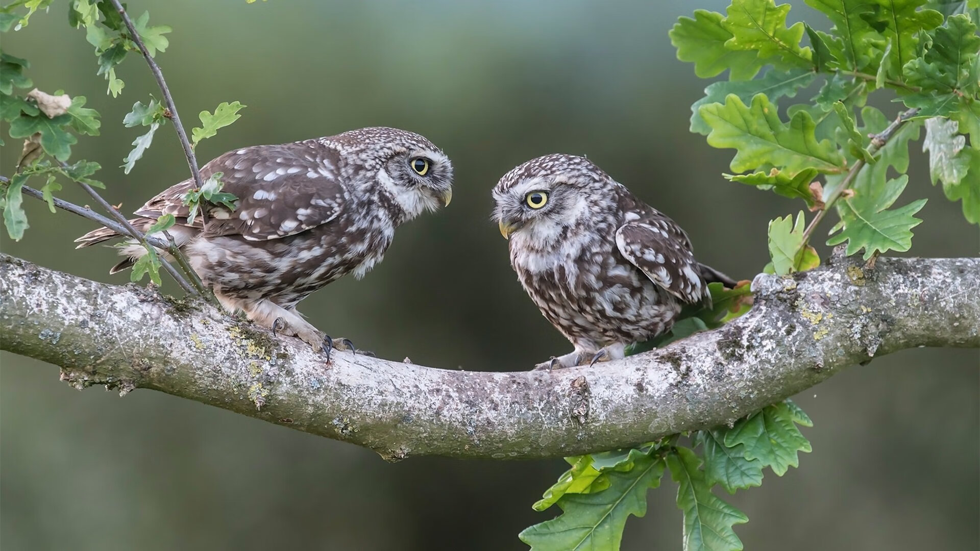 巴萨客场逆转获胜，提升积分排名，巴萨新赛季客场