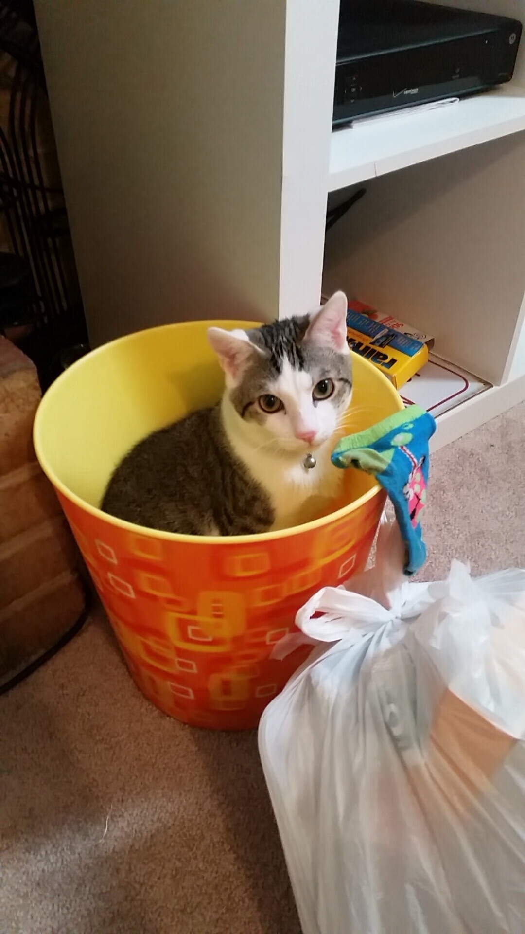 森林狼击败雄鹿,系列赛焦点战中爱德华兹末节爆发,森林狼爱德华兹定妆照