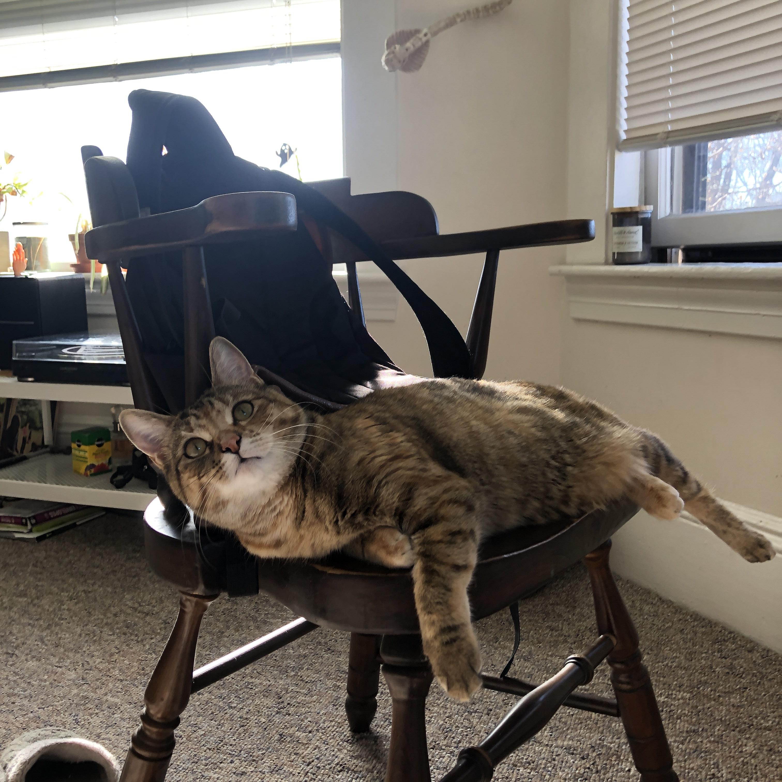 阿斯顿维拉0-2曼城,遭遇两连败,曼城阿斯顿维拉集锦