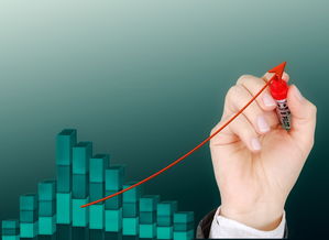 Kaiyun(中国)开云-中国篮球后卫技术细节提升策略研究，篮球后卫基本功