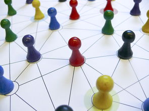 Kaiyun APP-中国篮球教练员战术执行力提升路径分析，中国篮球教练员等级划分标准