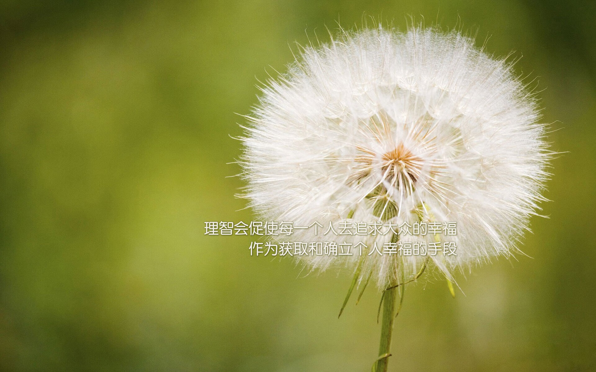 中国体育代表团举行奥运出征誓师大会,奥运会中国体育代表团入场