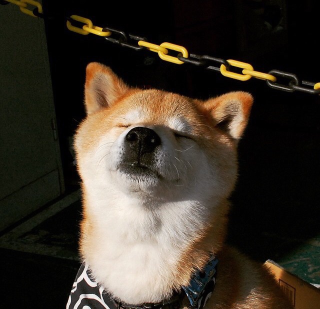 国家队缺乏二线替补深度