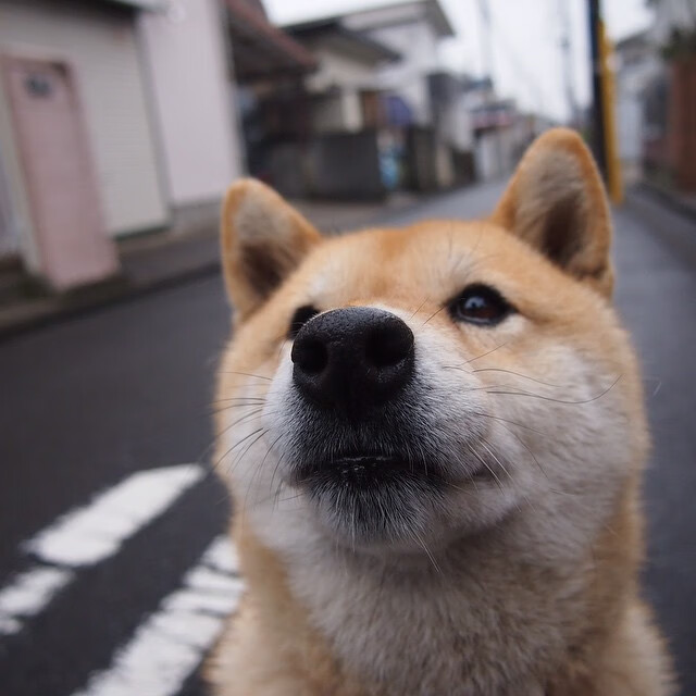 联赛风格转变如何影响战术板球队选择,nba战术板