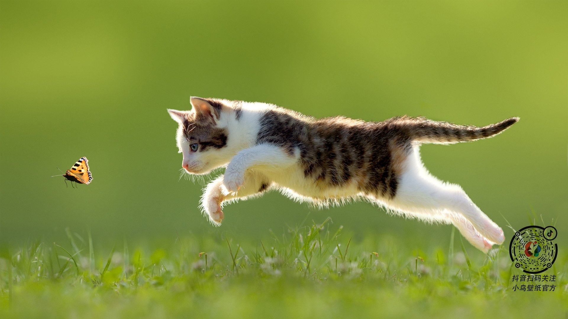 kaiyun开云·官方网站-英超冲刺季：每场比赛都精彩绝伦！，英超冲刺季_每场比赛都精彩绝伦吗